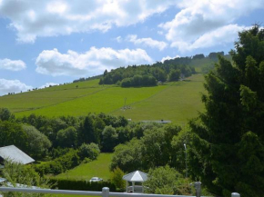 Beautiful Apartment in Willingen with a Balcony, Willingen